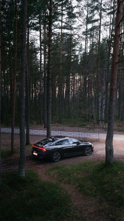 Машина в лесу