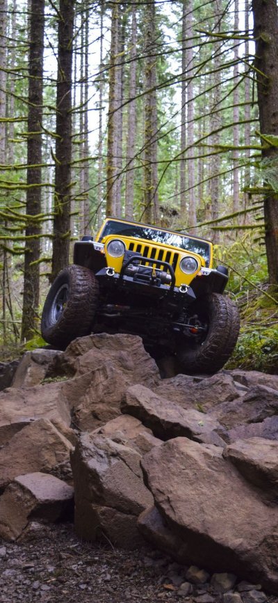 Гонки по бездорожью