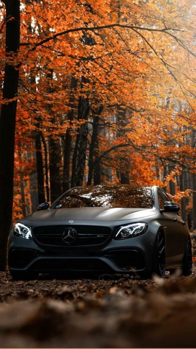Мерседес осень AMG 63