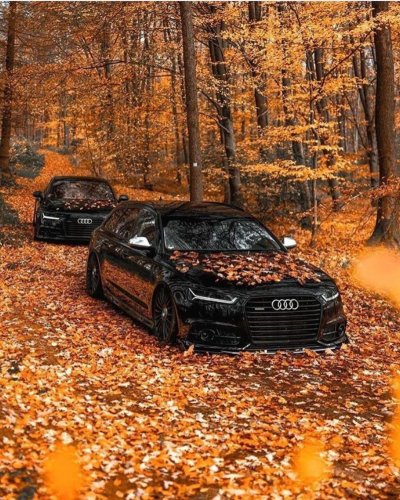 Осень осень дай мне Ауди а8