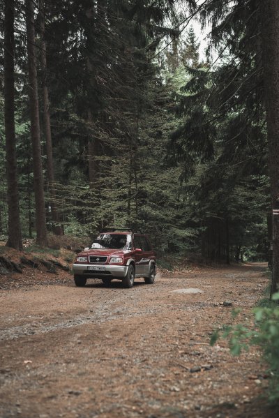 Машина в лесу