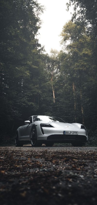 Порше в лесу