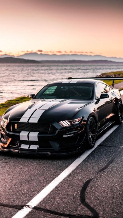 Мустанг обои на телефон