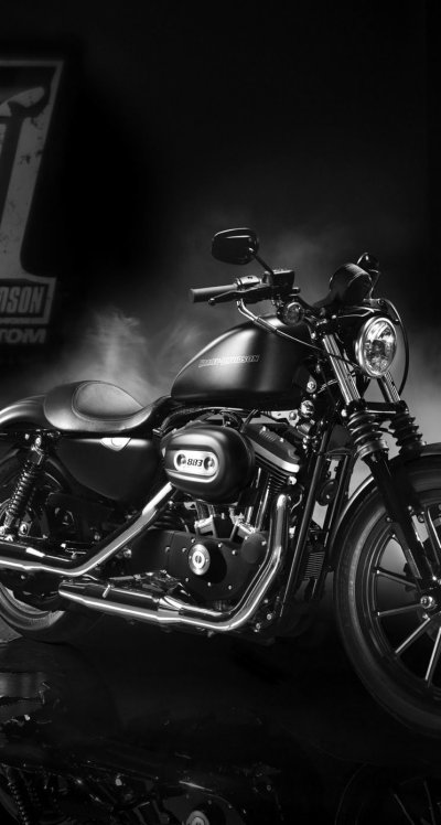 Harley Davidson Iron 883 Custom