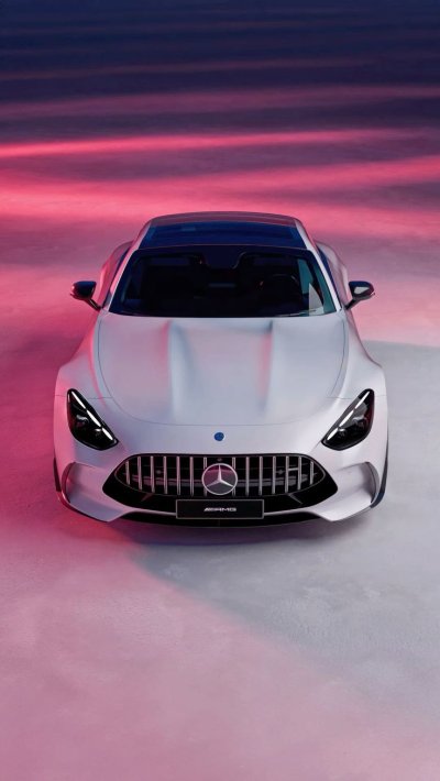 AMG gt 2024