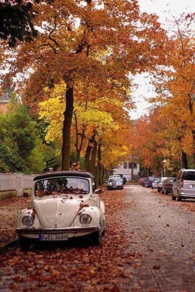 Автомобиль осень