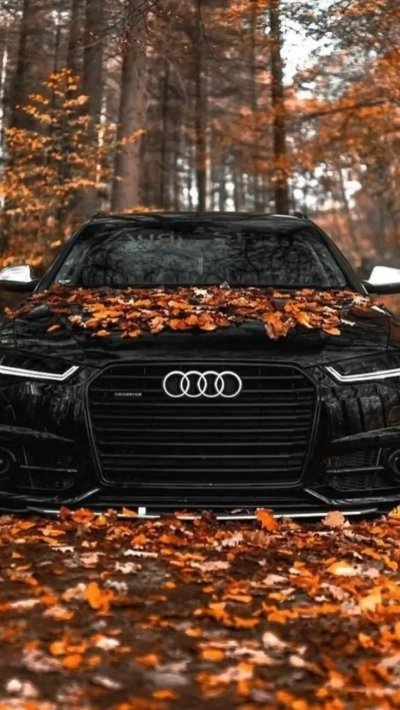 Автомобили осенью