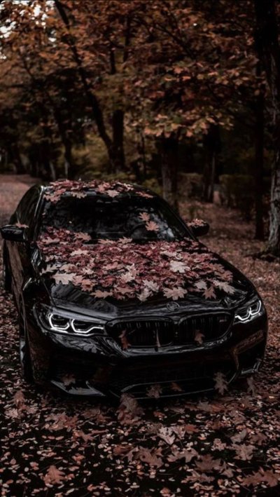 Листва машина