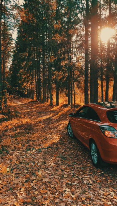 Доброе утро автолюбители