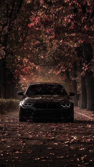 Крутые обои 2024