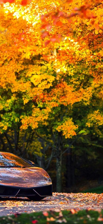 Машина осенью