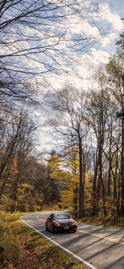 Дорога в осень