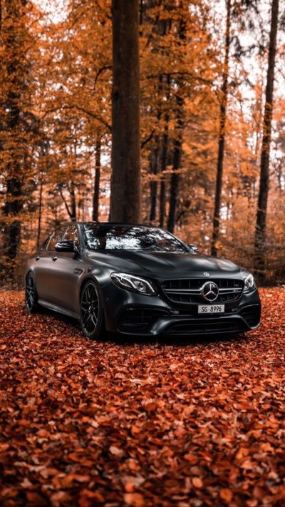 Мерседес осень