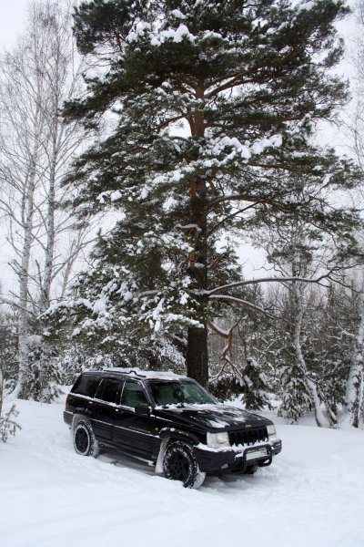 Ленд Крузер 200 черный