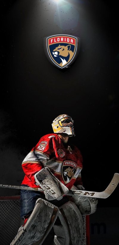 Обои на айфон хоккей