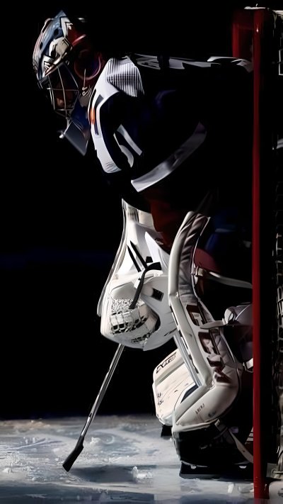 Хоккейный вратарь