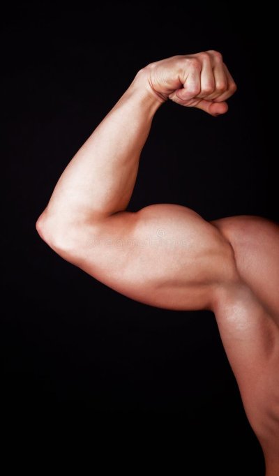 Бицепс фото