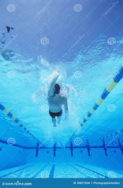 Пловец в бассейне