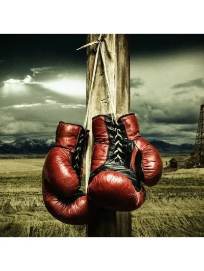 Боксерские перчатки