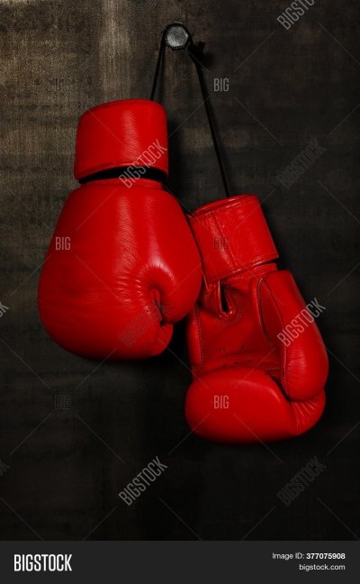 Боксерские перчатки
