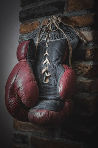 Боксерские перчатки Louis Vuitton