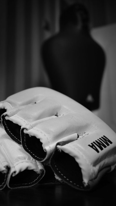 Боксерские перчатки Alexander Wang