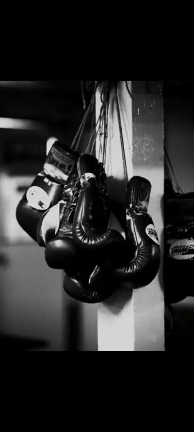 Боксерские перчатки