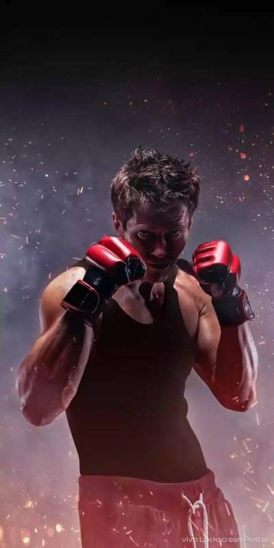 Боец с голым торсом