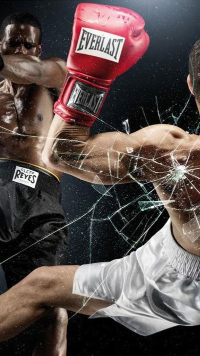 Красивый боксер