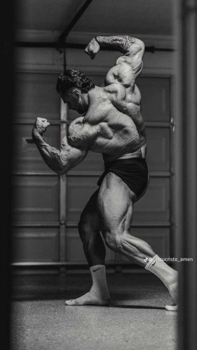 Крис Бамстед в зале