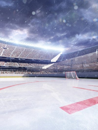 Хоккейный стадион