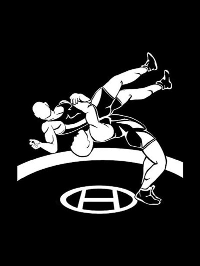 Наклейки на авто борец