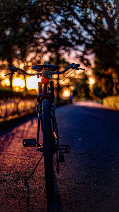Велосипед на закате
