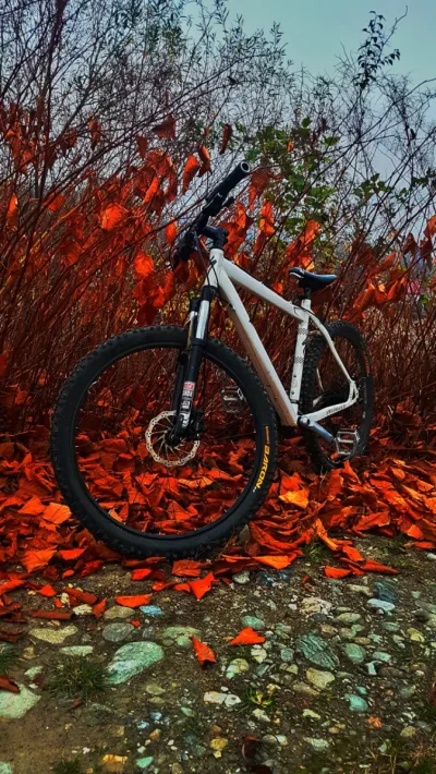 Specialized MTB