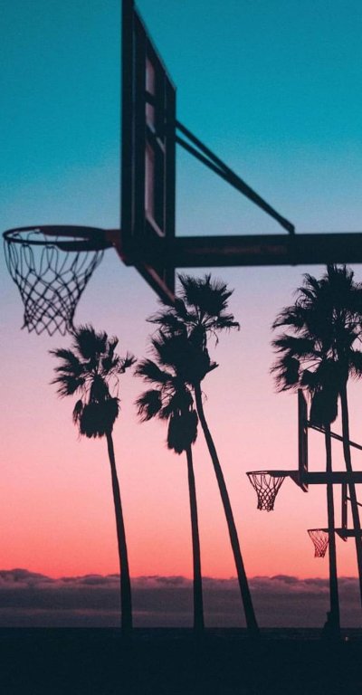 Венис Бич баскетбольный корт