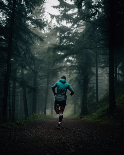 Пробежка по лесу