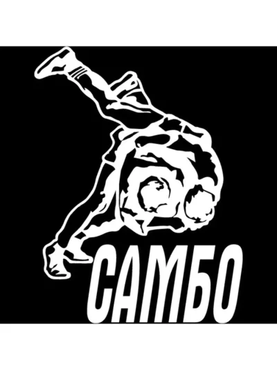 Наклейки самбо