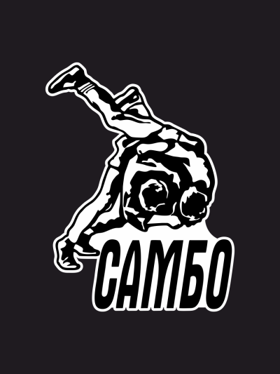 Боевое самбо наклейки