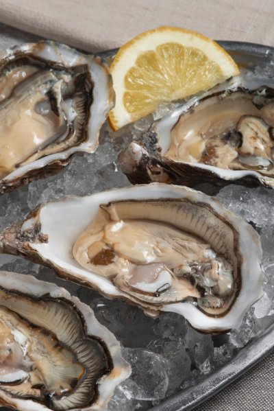Устрицы
