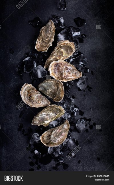Устрицы на черном фоне