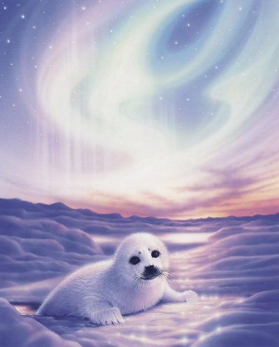 Кирк Рейнерт Северное сияние