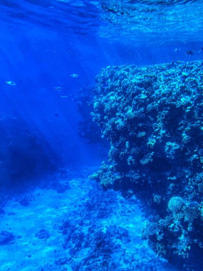 Красное море