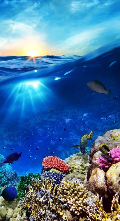 Морское дно