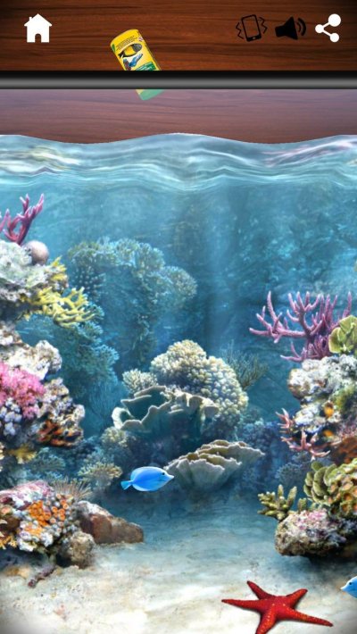 Подводные пейзажи