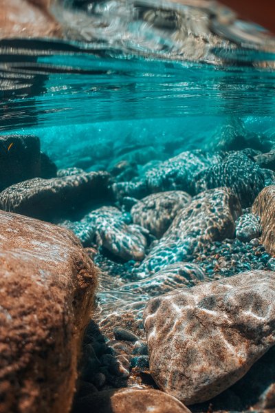 Морское дно