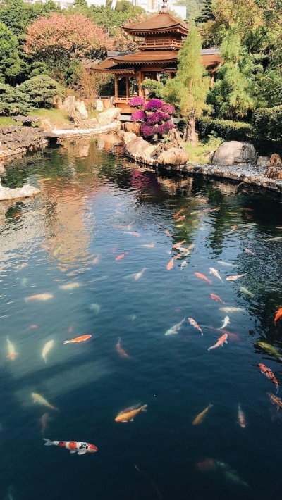 Вода в китайском саду