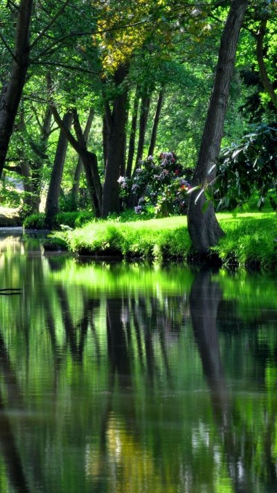 Природа пруд