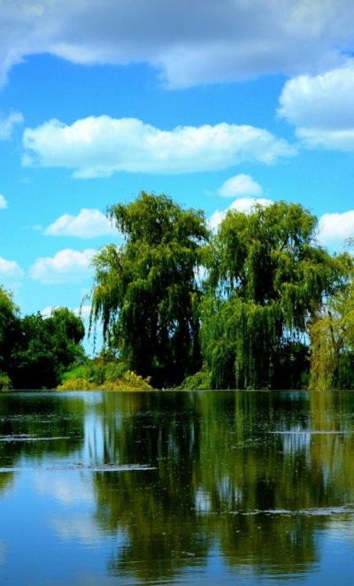 Красивый пруд