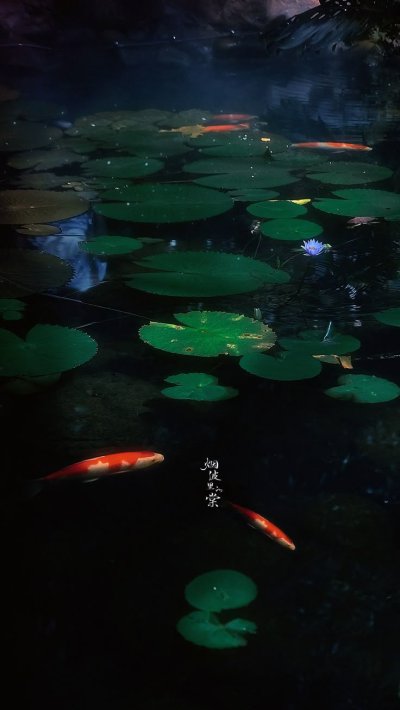 Танец светлячков