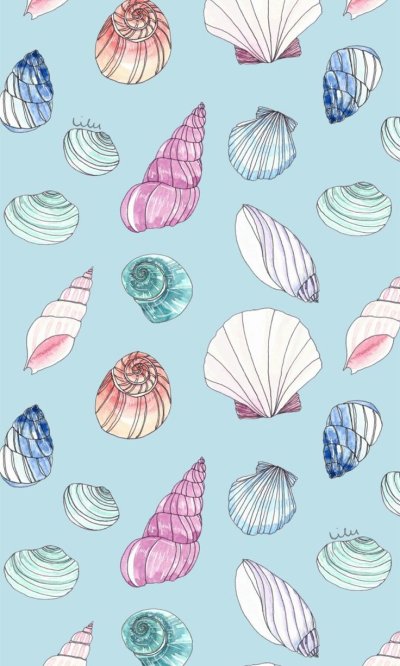 Цветные ракушки